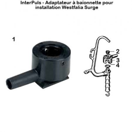 Interpuls-adaptateur-baïonnette-installation-Westfalia-Surge