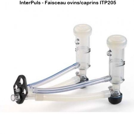 Interpuls-faisceau-ovins-caprins-ITP205