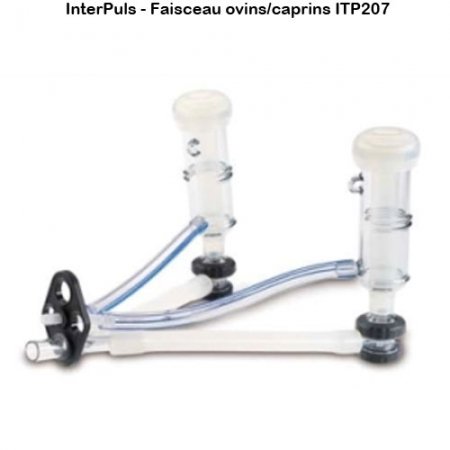 Interpuls-faisceau-ovins-caprins-ITP207