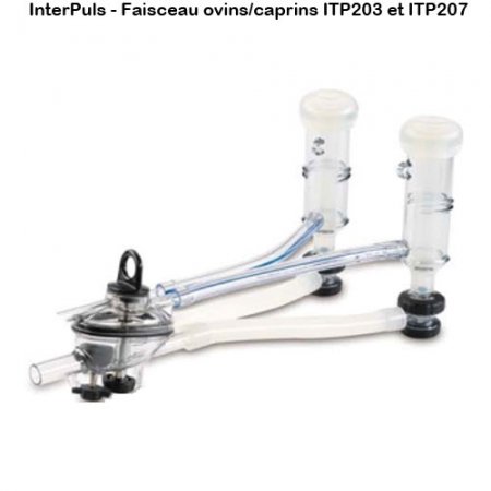 Interpuls-faisceau-ovins-caprins-ITP203-ITP207