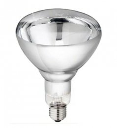 Lampe infrarouge 100W blanche à baïonnette - Lampes chauffantes