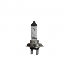 Ampoule H7 24V 70W Hella